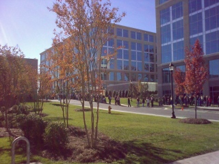 Early Voting