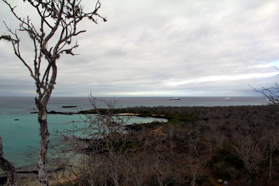 Floreana Island