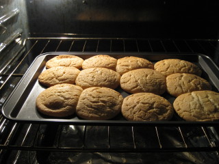 Sugar Cookies