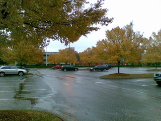 Autumn