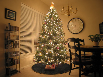 Christmas Tree 2009
