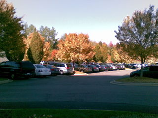 Autumn