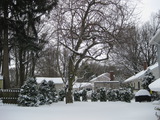 img_1406.jpg