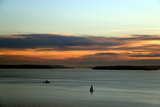 IMG_2392_disc_boats.jpg