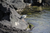 IMG_9125.jpg