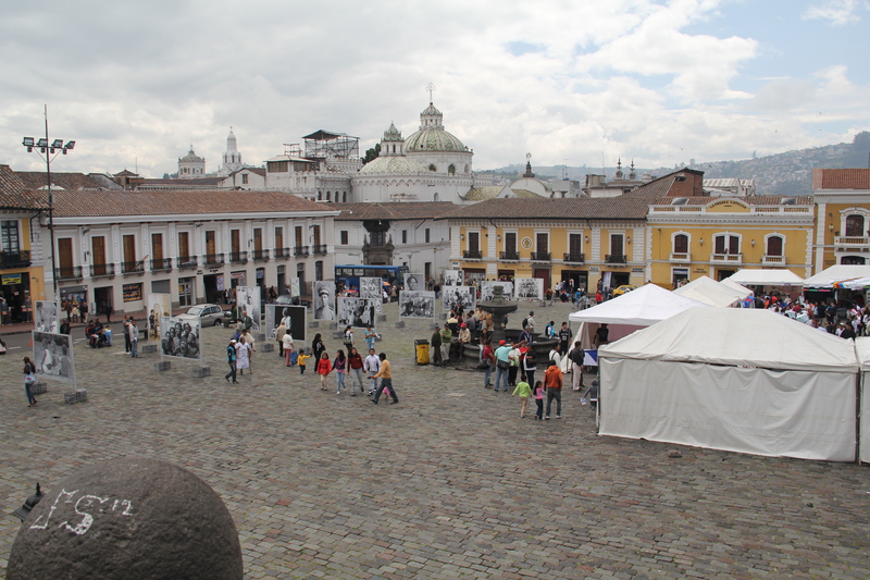IMG_7871.jpg