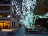 CameraZOOM-20121124164354346.jpg