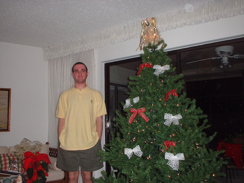 xmastree_almostdone.jpg