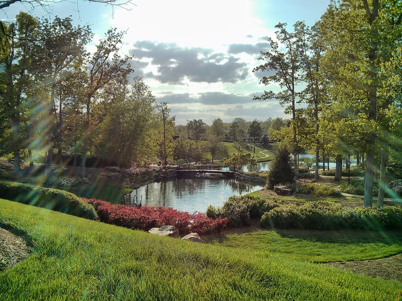 IMG_20130421_181800.jpg