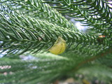 img_4333.jpg