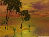 palm_trees_venus_new.jpg