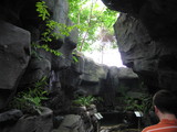 img_3700.jpg