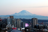 IMG_2352_rainier.jpg