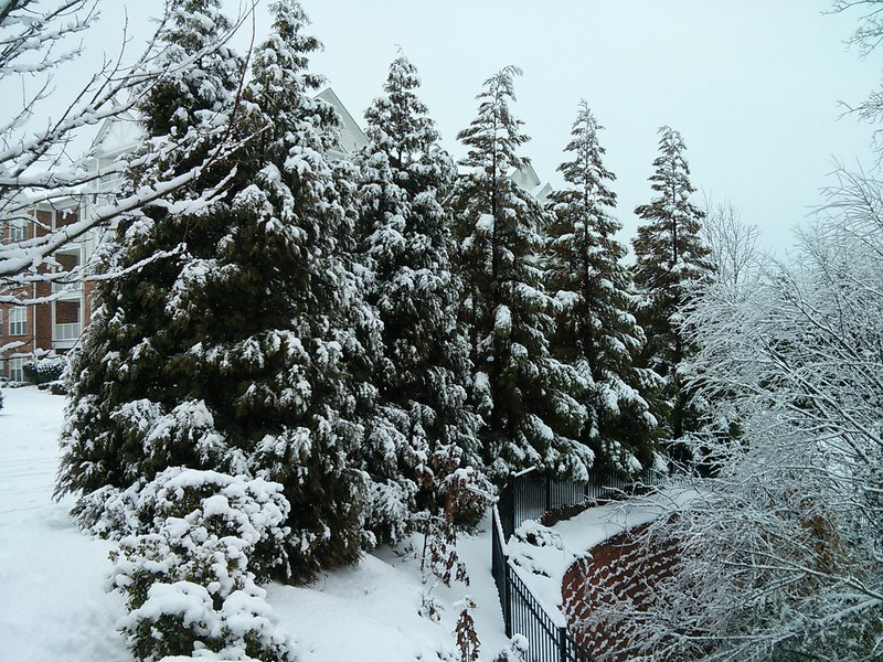 CameraZOOM-20140213124946742.jpg