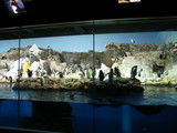 img_7266.jpg